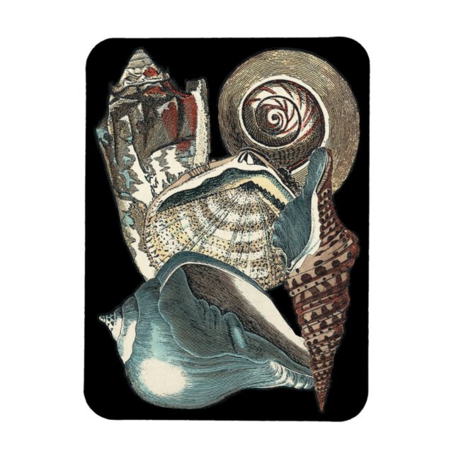 Seashell Anthology Magnet (Vertikal)