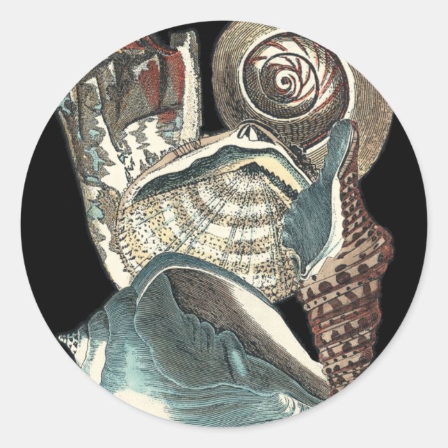 Seashell Anthology Runder Aufkleber (Vorderseite)