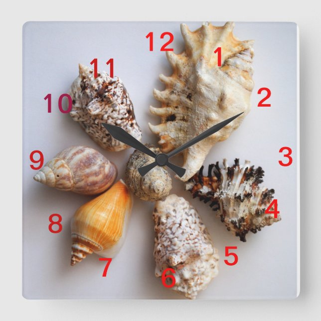 Seashell Arrangement Clock Quadratische Wanduhr (Vorderseite)