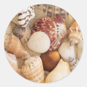 Seashell-Arrangement Runder Aufkleber
