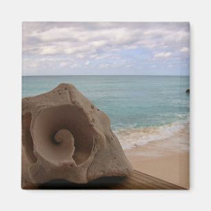 Seashell auf dem Strand-Foto Magnet