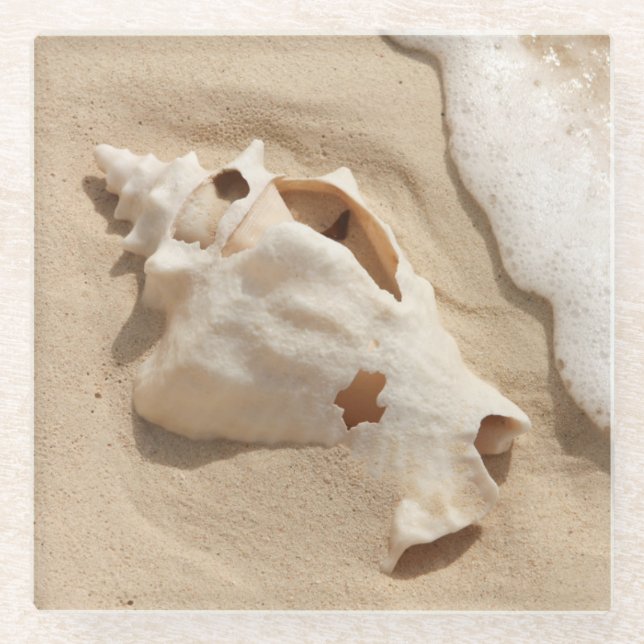 Seashell auf großartiger Türke-karibischer Insel Glasuntersetzer (Vorderseite)