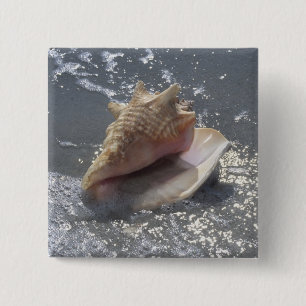 Seashell auf Insel des Strand- Sanibel, Florida Button