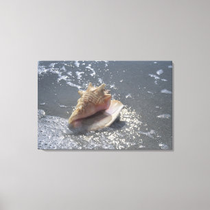 Seashell auf Insel des Strand-  Sanibel, Florida Leinwanddruck