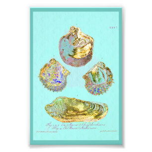 Seashell auf Rotkehlchen-Ei-Blau Fotodruck