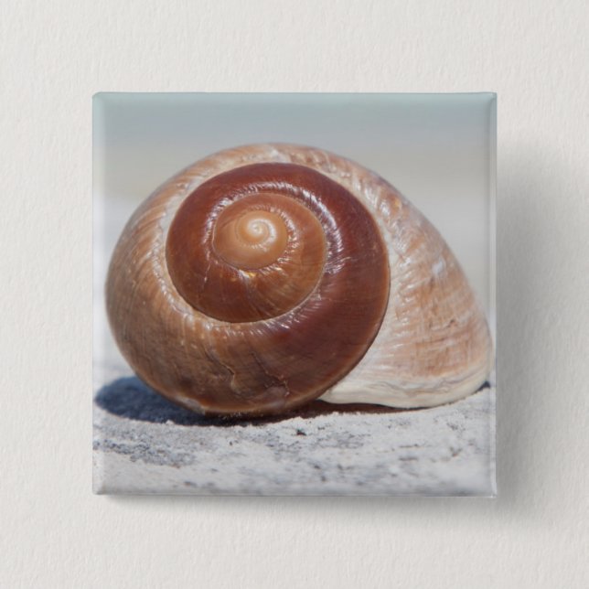 Seashell auf St. Petersburg des Strand-|, Florida Button (Vorderseite)