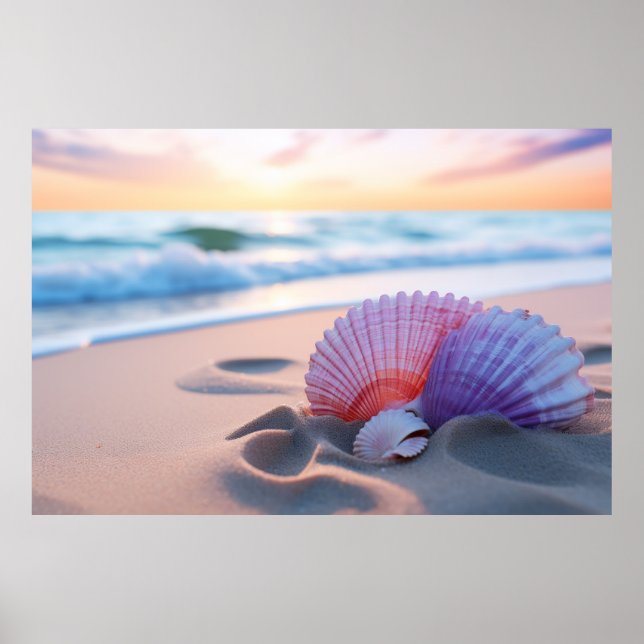 Seashell Beach Nature Ruhe Poster (Vorne)