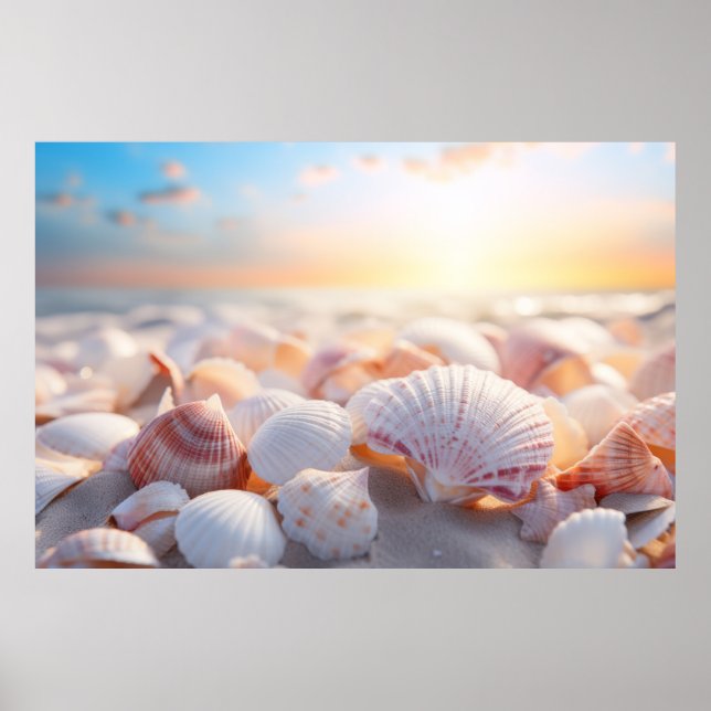 Seashell Beach Nature Ruhe Poster (Vorne)