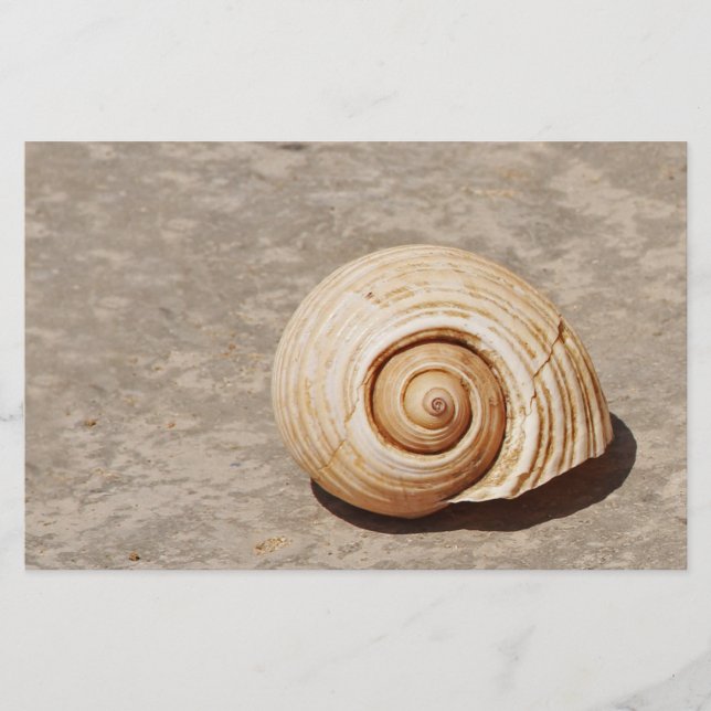 SeaShell Briefpapier (Vorderseite)
