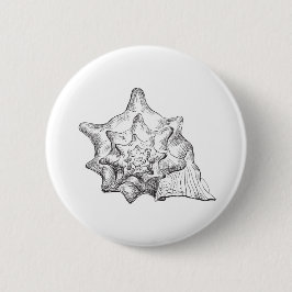 Seashell Button