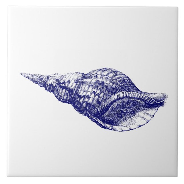 Seashell Charonia Tritonis Blue & White Fliese (Vorderseite)