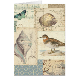 Seashell-Collage