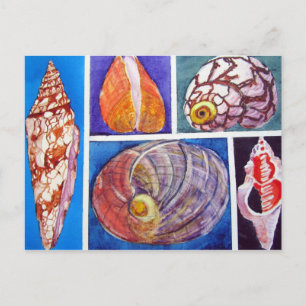 Seashell Collage Postkarte