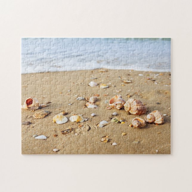 Seashell Collection (Horizontal)