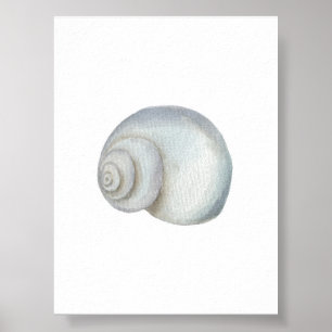 Seashell Conch Print Poster