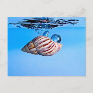 Seashell fällt ins Wasser Postkarte