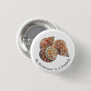 Seashell/Fossickers Button