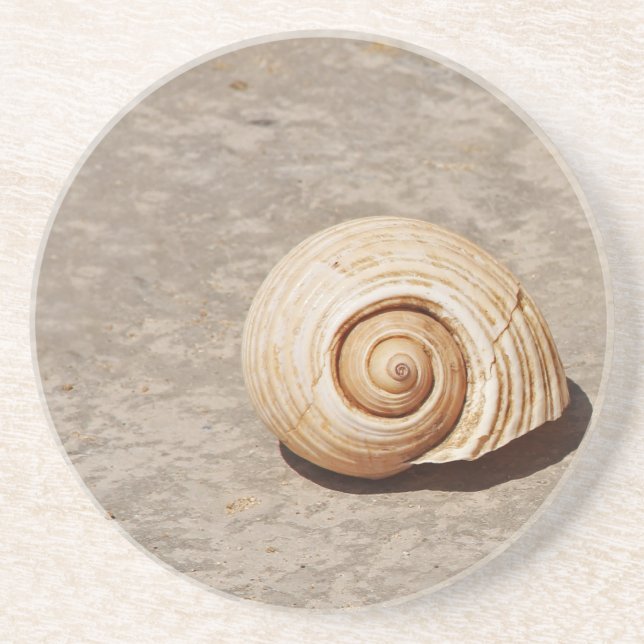 SeaShell Getränkeuntersetzer (Vorne)