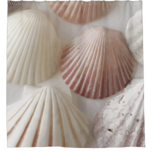 Seashell Graphics Duschvorhang
