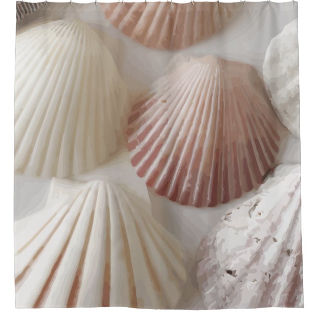 Seashell Graphics Duschvorhang (Vorderseite)