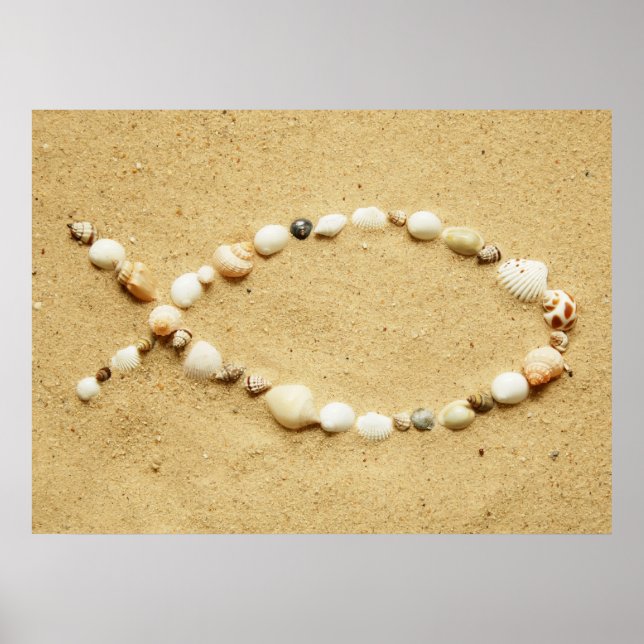 Seashell Ichthys Poster (Vorne)