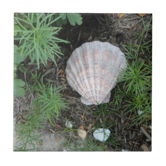 Seashell im Garten Fliese