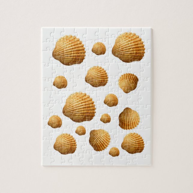 Seashell Jigsaw Puzzle (Vertikal)