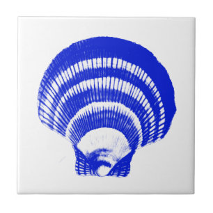 Seashell - Kobaltblau und -WEISS Fliese