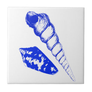 Seashell - Kobaltblau und -WEISS Fliese