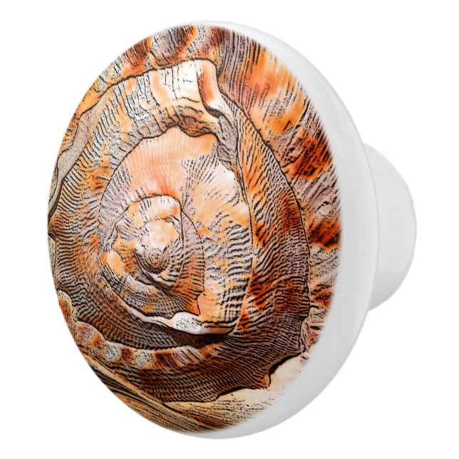 Seashell Muschel Beach House Keramikknauf (Rechts)