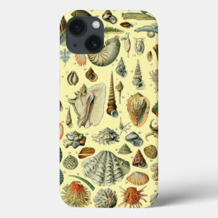Seashell Muschel Mollusk Clam Case-Mate iPhone Hülle
