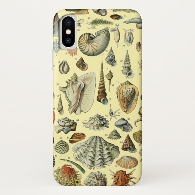 Seashell Muschel Mollusk Clam Case-Mate iPhone Hülle (Rückseite)