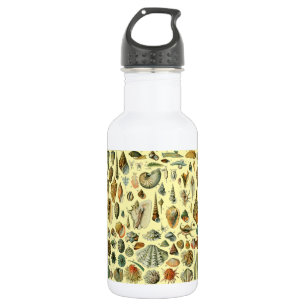 Seashell Muschel Mollusk Clam Edelstahlflasche