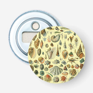 Seashell Muschel Mollusk Clam Flaschenöffner