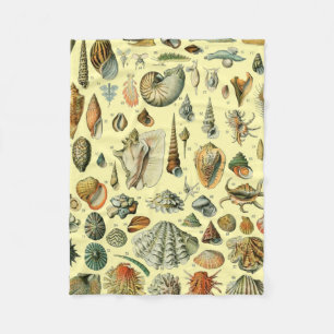 Seashell Muschel Mollusk Clam Fleecedecke
