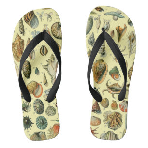 Seashell Muschel Mollusk Clam Flip Flops