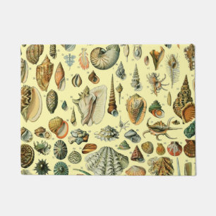 Seashell Muschel Mollusk Clam Fußmatte