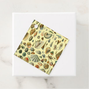 Seashell Muschel Mollusk Clam Geschenkanhänger