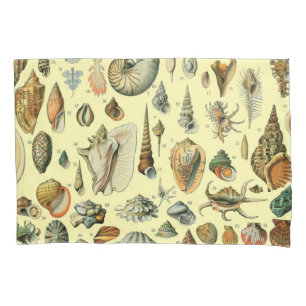 Seashell Muschel Mollusk Clam Kissenbezug