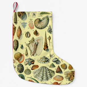Seashell Muschel Mollusk Clam Kleiner Weihnachtsstrumpf