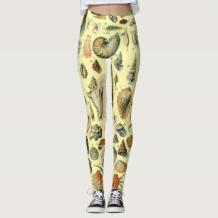 Seashell Muschel Mollusk Clam Leggings