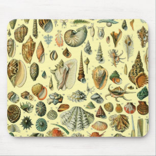 Seashell Muschel Mollusk Clam Mousepad