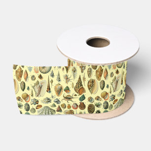 Seashell Muschel Mollusk Clam Satinband