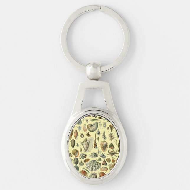 Seashell Muschel Mollusk Clam Schlüsselanhänger (Vorderseite)