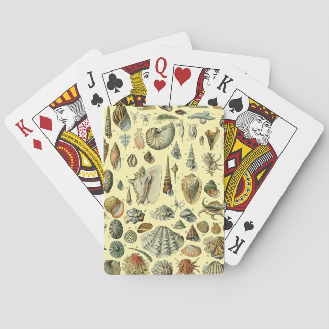 Seashell Muschel Mollusk Clam Spielkarten (Rückseite)