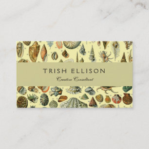 Seashell Muschel Mollusk Clam Visitenkarte