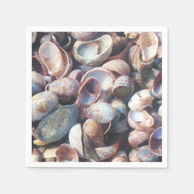 Seashell Napkin Serviette (Vorderseite)