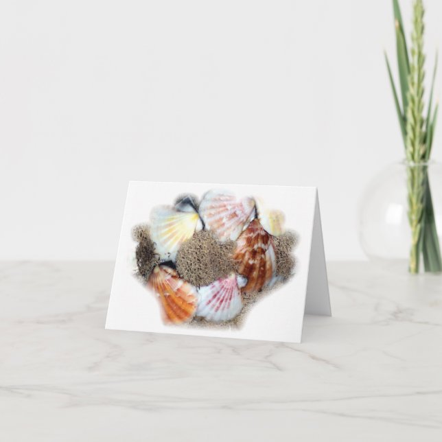 Seashell Notecard Karte (Vorderseite)