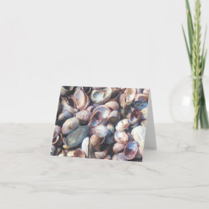 Seashell Notecard Karte