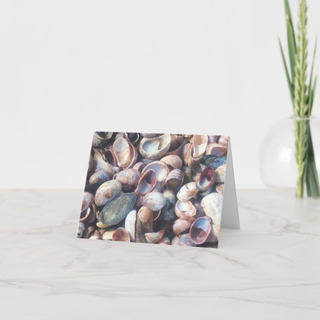 Seashell Notecard Karte (Vorderseite)